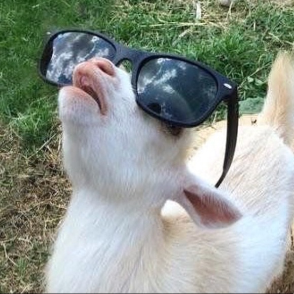 kadeirl